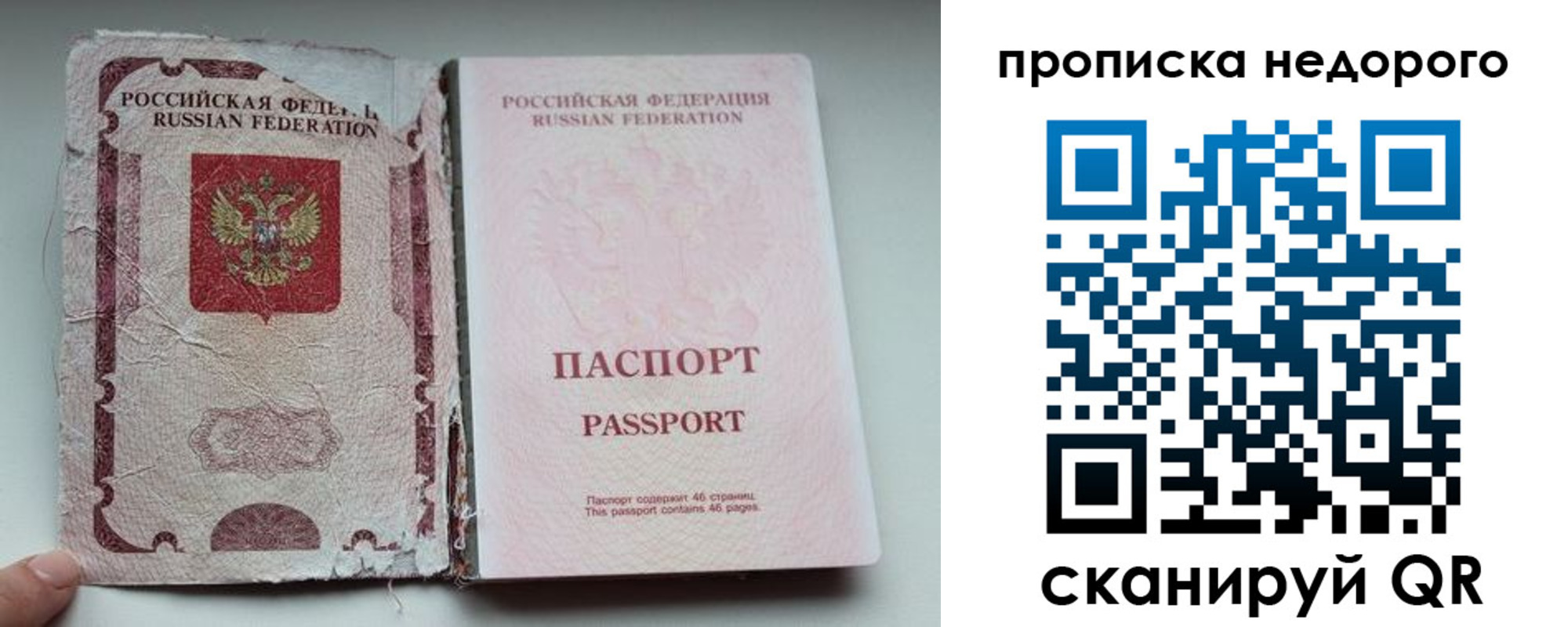 прописка для работы в Пионерском