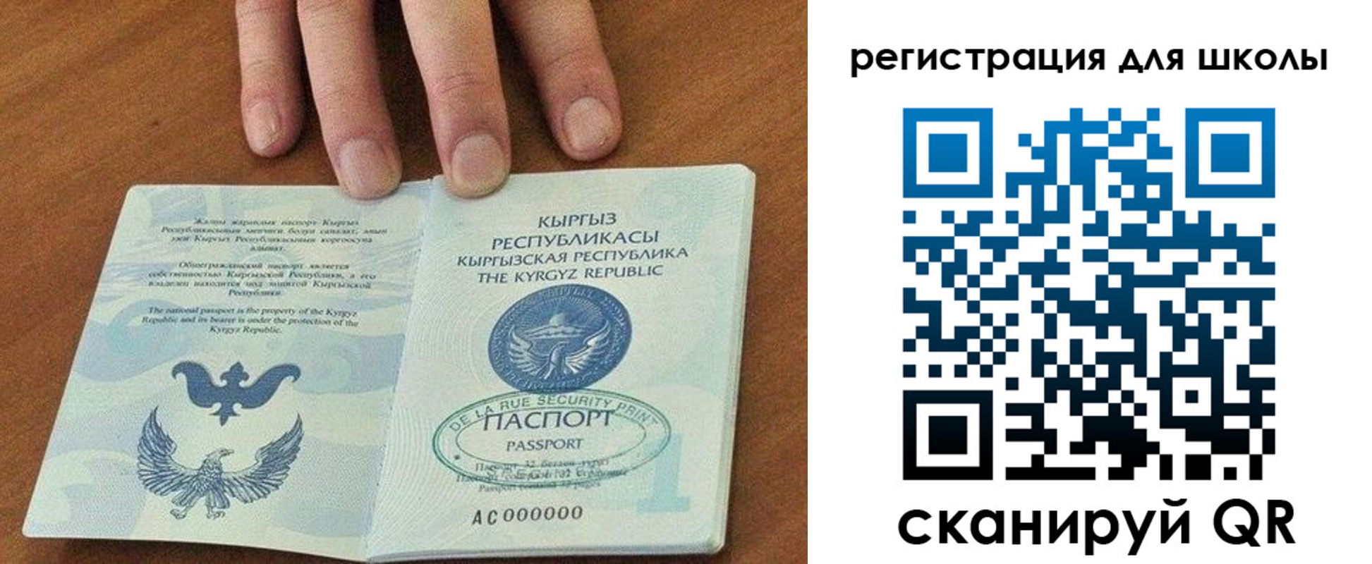 временная регистрация 2025 в Пионерском